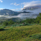thevenet sylvain, vigneron, ferme saint maurice, vin, vins bio, Bio, muscat, die, nature, sec, bulles, petillant, naturel, drôme,