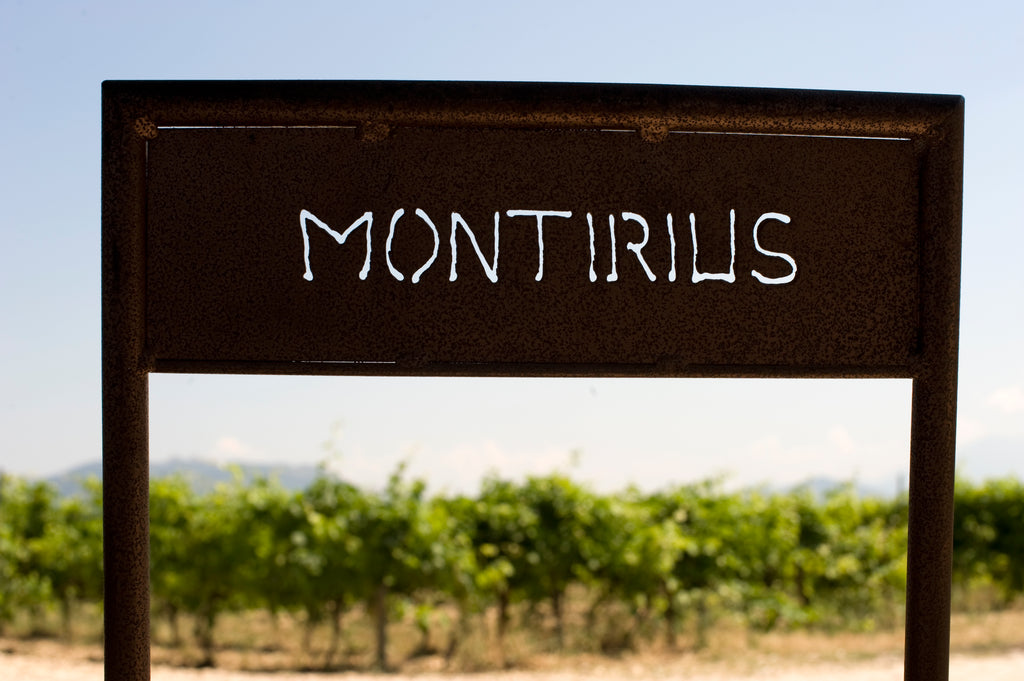Vacqueyras 2020 - Domaine Montirius