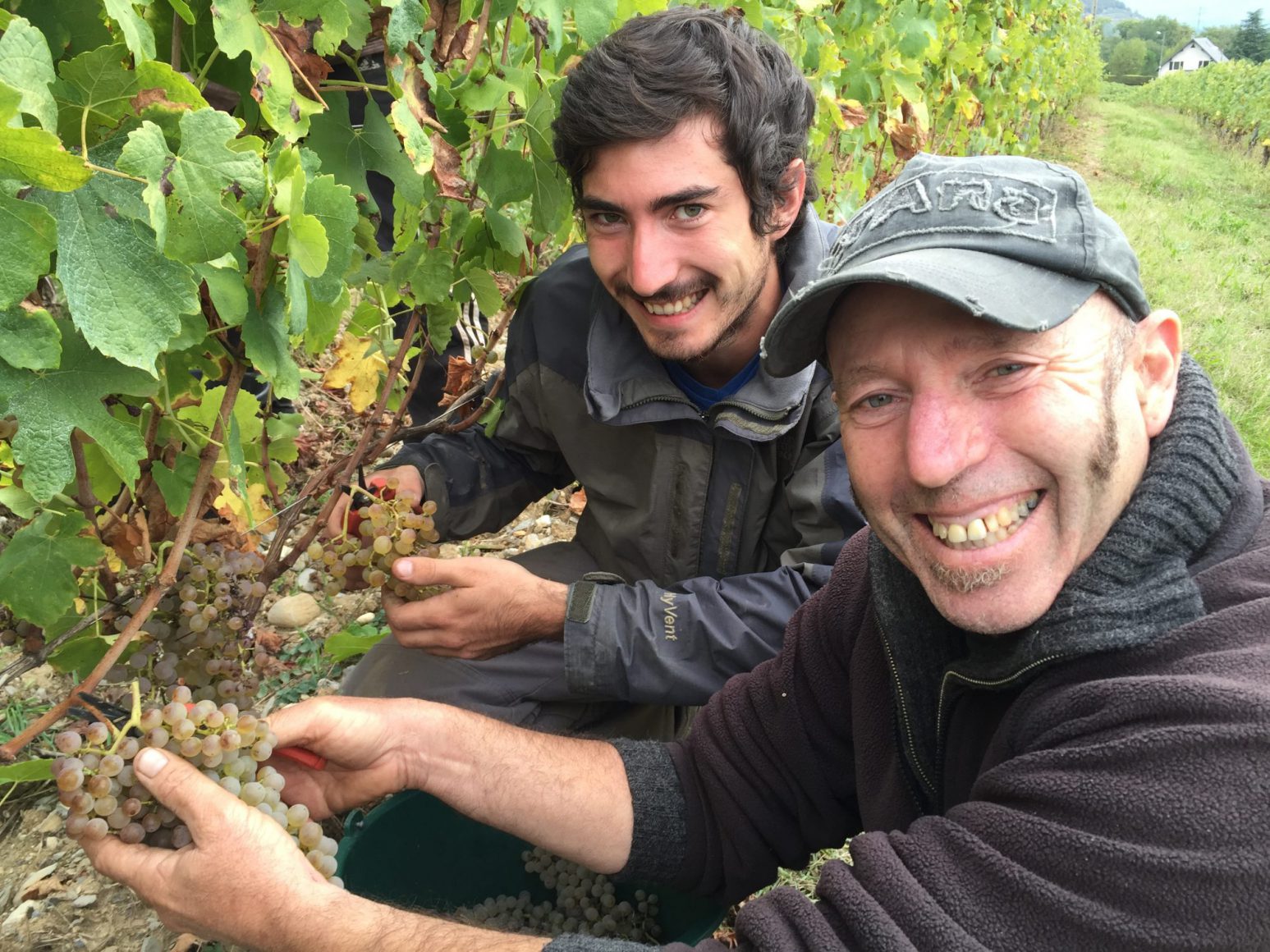 Chignin "1903" 2023- Domaine Annick et Pascal Quenard