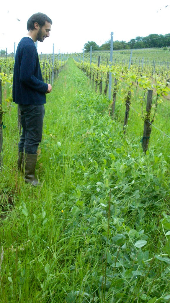 Bungertal 2018 - Domaine Beck-Hartweg