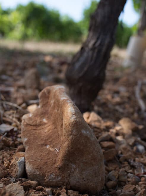 Pur C 2024 - Clos de la Barthassade