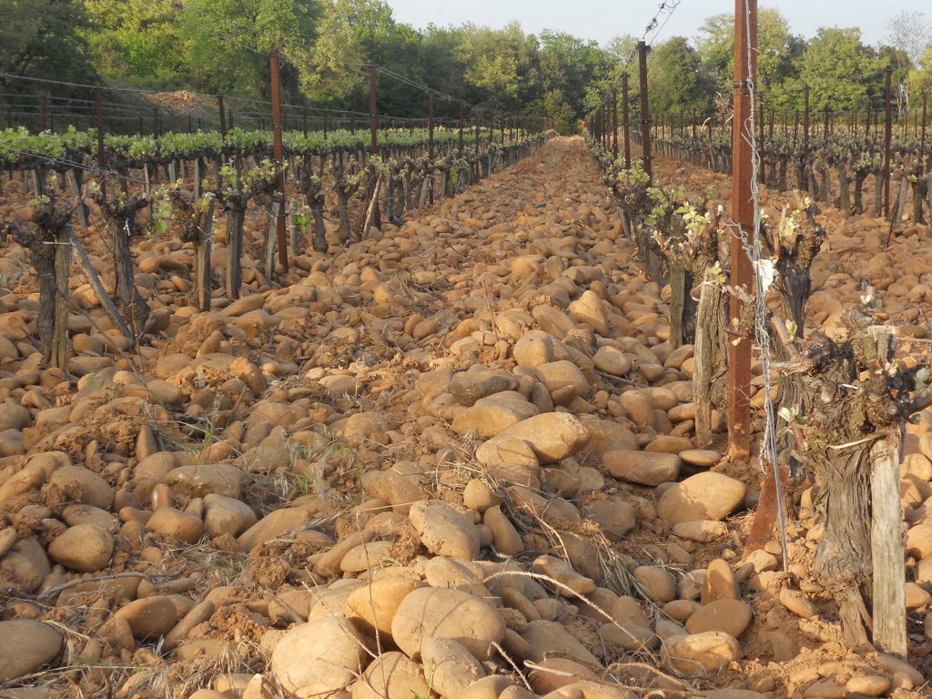 ardeche, vignes, libian, bio, vin bio, biodynamie, galets, bio, rhône, 
