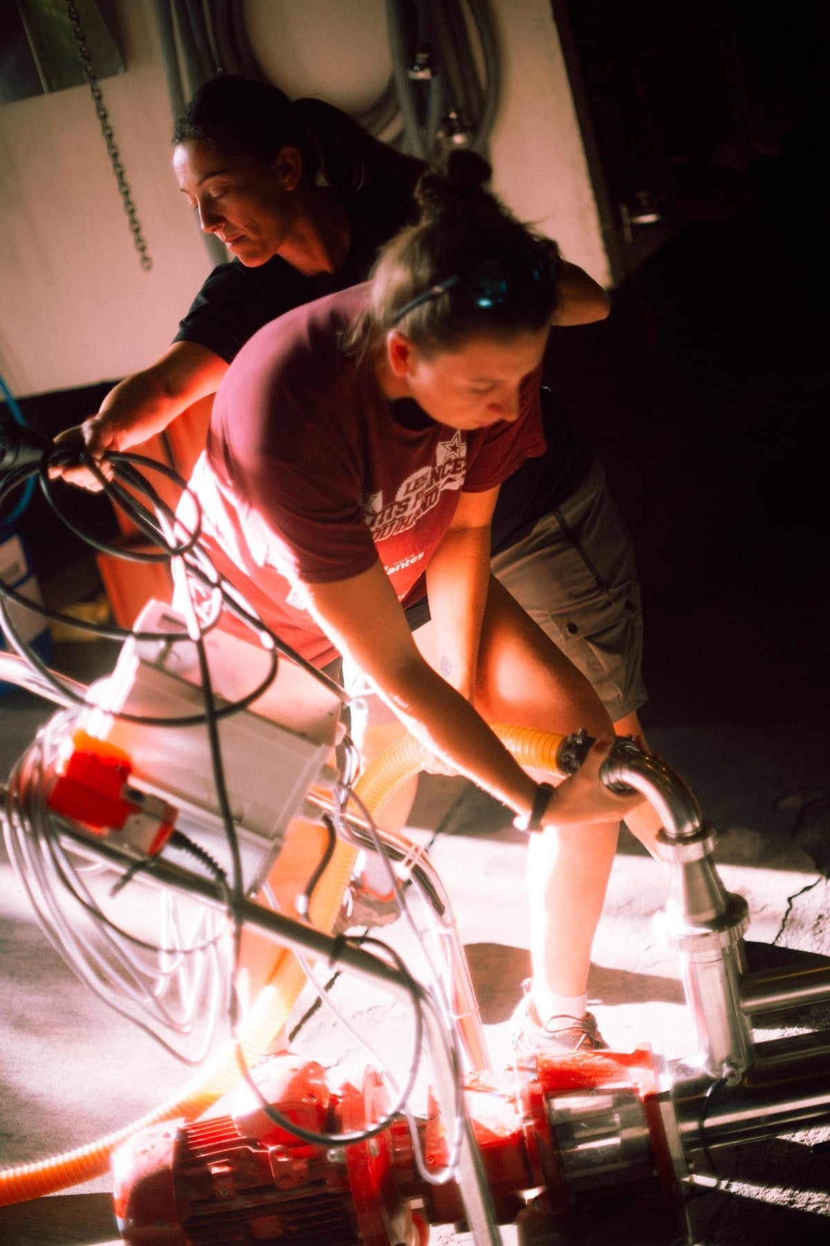 Famille Chasselay, beaujolais, gamay, vins bio, bio, granite, nature, vendanges, 