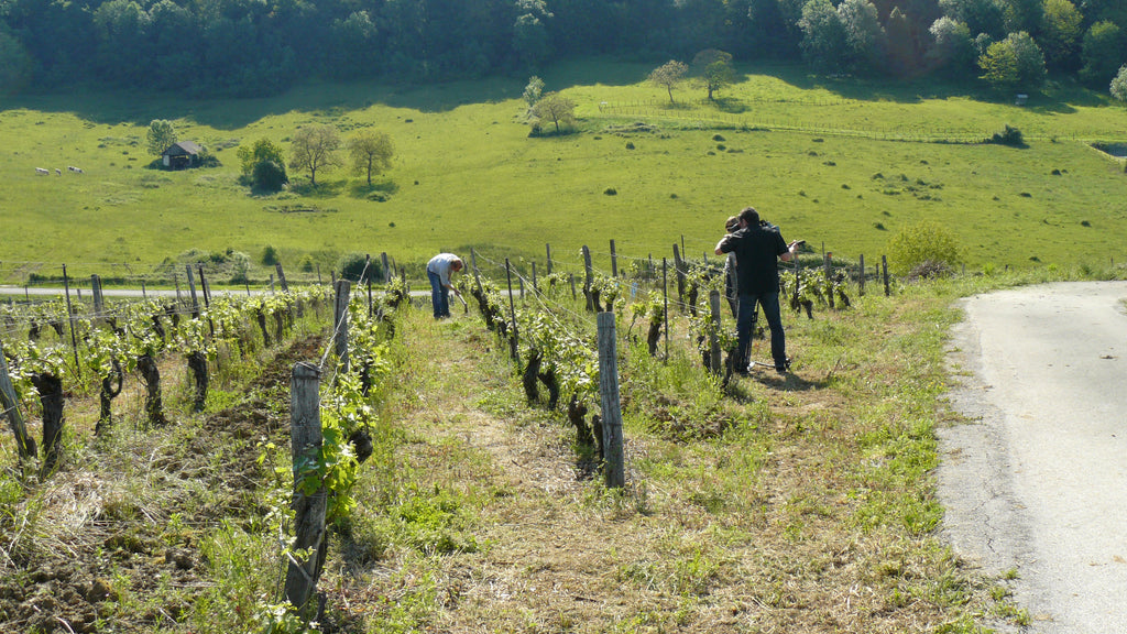 Les Nouvelles 2023 - Domaine Chatillon, Anatole et Philippe Chatillon, Domaine Chatillon, Jura, naturel, nature, savagnin, bio, vins bio, Biodynamie, vins biodynamiques, vin méthode nature, marnes, futs ouverts, inventeur, 