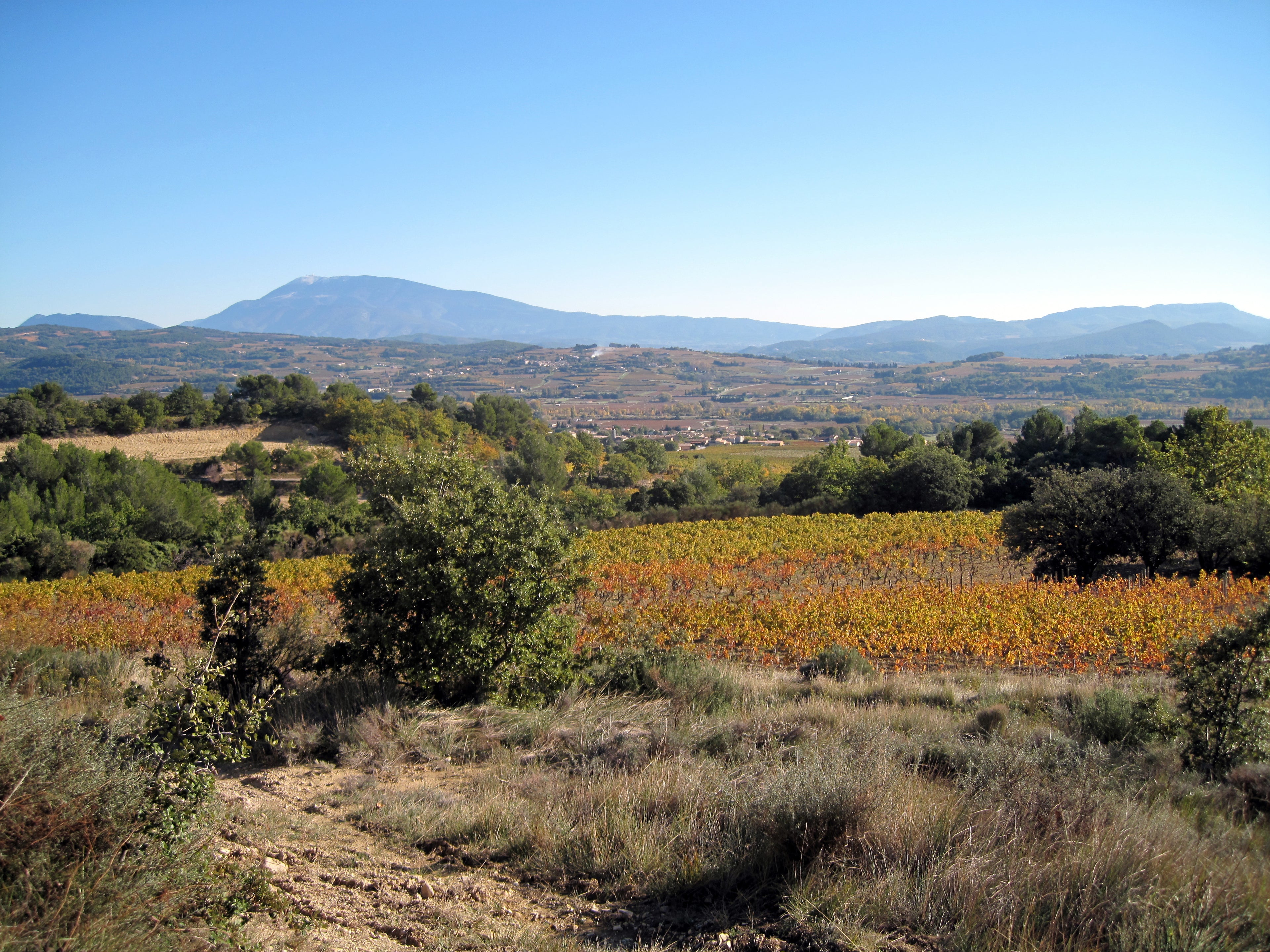 vignes de paradis, Philippe Viret, cosmoculture, demeter, vin, Rhône, domaine viret, grenache, centenaires, menhirs, truffe, amphores, syrah, cave cathédrale, biodynamie, 