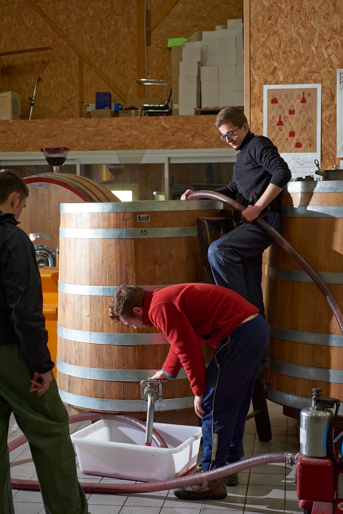 Chinon, Les Beaux Monts 2022, Domaine Breton, Bourgueil, Cabernet Franc, breton, vins bio, biodynamie, naturel, rouge, 